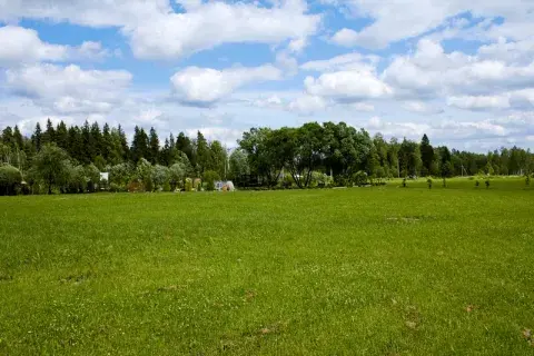 أراضٍ под إسكان فردي и ЛПХ в чем разница